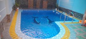 Windy Villa Bãi Sau Vũng Tàu Có Hồ Bơi