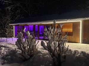 Ivoi Magasbukki vendeghaz