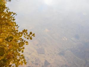 Holiday Home Mökki mikkola by Interhome