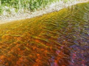 Holiday Home Kallionnenä by Interhome