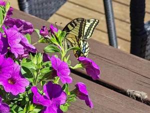 Holiday Home Petäjälahti by Interhome
