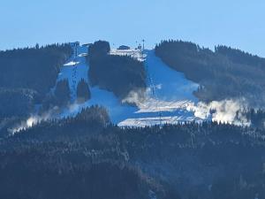 Central Apartment Radstadt
