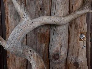 Holiday Home Peltotupa by Interhome