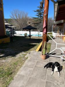 Complejo cerca del rio