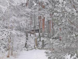Holiday Home Näätämö by Interhome