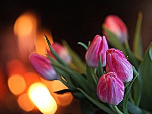 Holiday Home Divaanikivi by Interhome