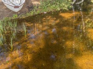 Holiday Home Valkealammi by Interhome