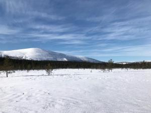 Holiday Home Kuukkeli by Interhome