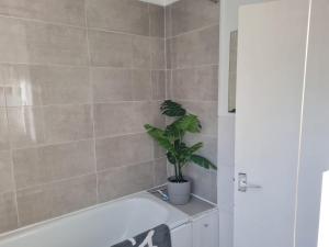 Ground Floor Maisonette Near St James St Overground Station