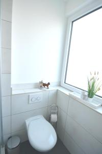 Coburg 05 - Apartment für Firmen