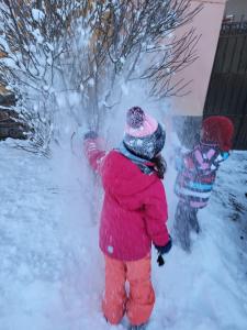 Porumbacu381 - Casa de Oaspeti Faini