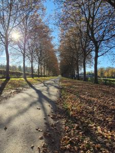 Au coin des champs - Gîte à la ferme - Le Fenil