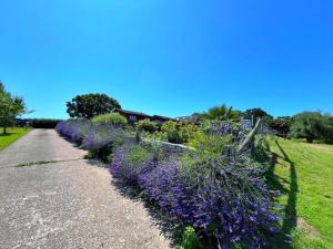 Oak Valley Lodges & Camping