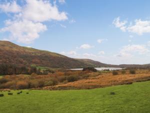 Wenallt Cottage