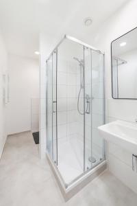 BIG New 7Rooms City Center APARTMENTS and Suites