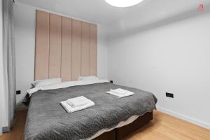 Apartament 2 C3 Grand Chalet Poiana Brasov