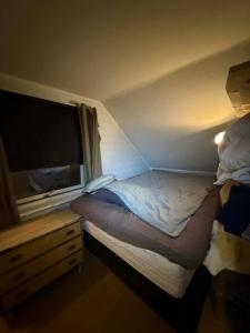 Cozy Little Yellow House