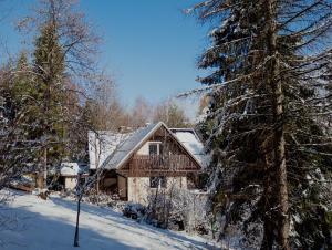 Dom na Jeżynowym Wzgórzu - Blackberry Hill Cottage