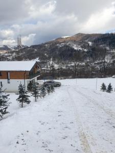 EDEN HOUSE Viseu de Sus