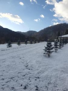 EDEN HOUSE Viseu de Sus