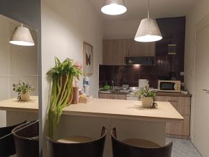 Trykonos Urban Oasis - Thessaloniki Studio - Easy Parking - Walk to Center - Near HELEXPO & University