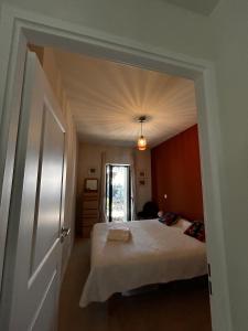 Très bel Appartement avec jardin privatif parking centre ville Montpellier