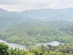 Moonveil Premium Villa Munnar