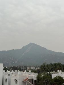 VV Guest House & Rooms