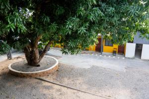 Estúdio Container Encantador em Boa Vista