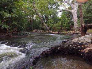 Angammedilla resort