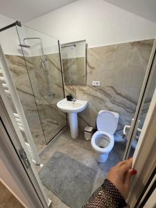 Pensiunea Casa Văduva