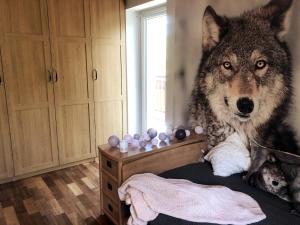 Dom w Kampinoskim Parku Narodowym z łatwym dojazdem do Warszawy