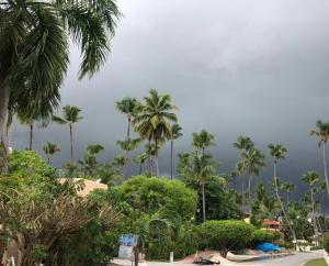 punta cana homes near beach wifi