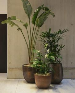 Signature Dilly Hotel - Beside Ben Thanh Market