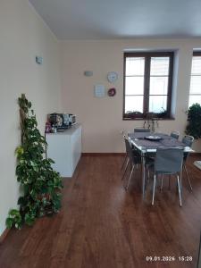 Villa Homestay Nad Helmrovkou