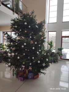 Villa Homestay Nad Helmrovkou