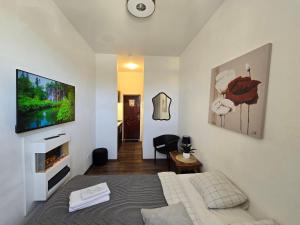 S8 Small studio apartment
