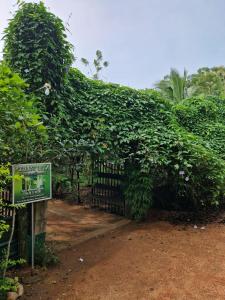 Forest Villa Nature Resort