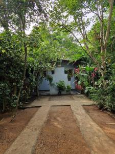 Forest Villa Nature Resort