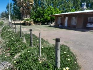 El refugio de los sueños