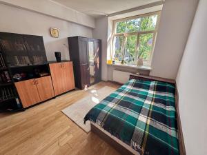 Spacious apartment located in a centre