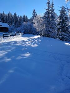 Omarsko vrelo - kuća na izvoru u srcu Tare