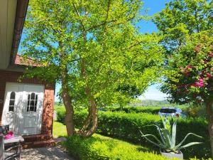 15 Vogelnest - Hof Wiesengrund