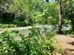 beach bungalo apartment wifi