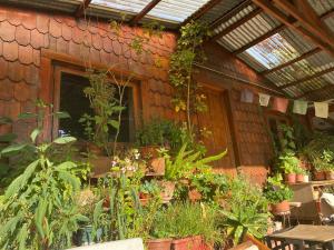 Habitación doble con baño privado