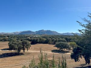 Ficna La Lola - Secluded Andalusian Finca for Groups of up to 24 Guests
