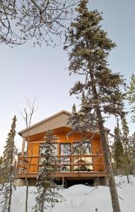 Villa Usvaniitty - a new magnificent holiday oasis