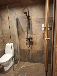 Villa Usvaniitty - a new magnificent holiday oasis