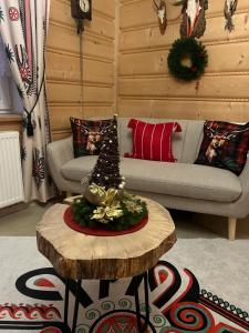 Pokoje u Pawlikowskich