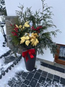 Pokoje u Pawlikowskich